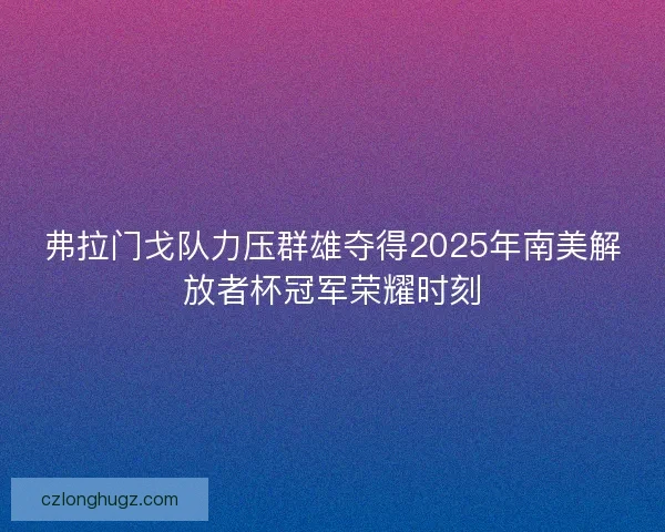 弗拉门戈队力压群雄夺得2025年南美解放者杯冠军荣耀时刻