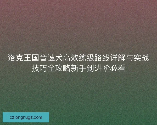 洛克王国音速犬高效练级路线详解与实战技巧全攻略新手到进阶必看